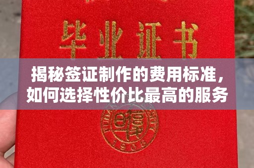 台南揭秘签证制作的费用标准，如何选择性价比最高的服务？